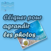 Cliquer pour agrandir les photos